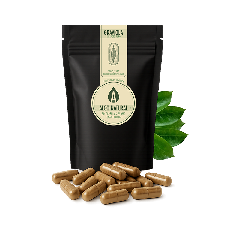 BOLSACAPS-GRAVIOLA-SINFONDO